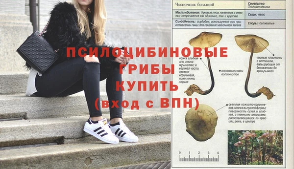 эйфоретик Алзамай