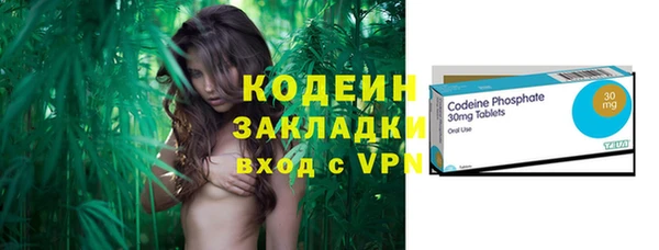 эйфоретик Алзамай
