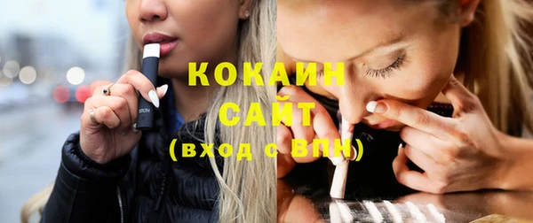гашик Чегем