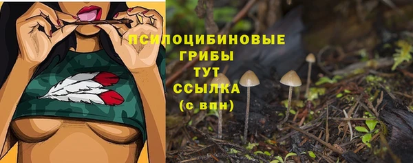 таблы Алексин