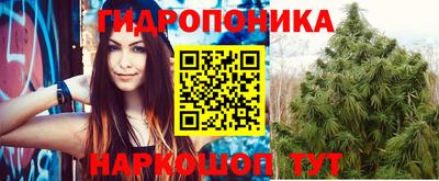 дживик Гатчина